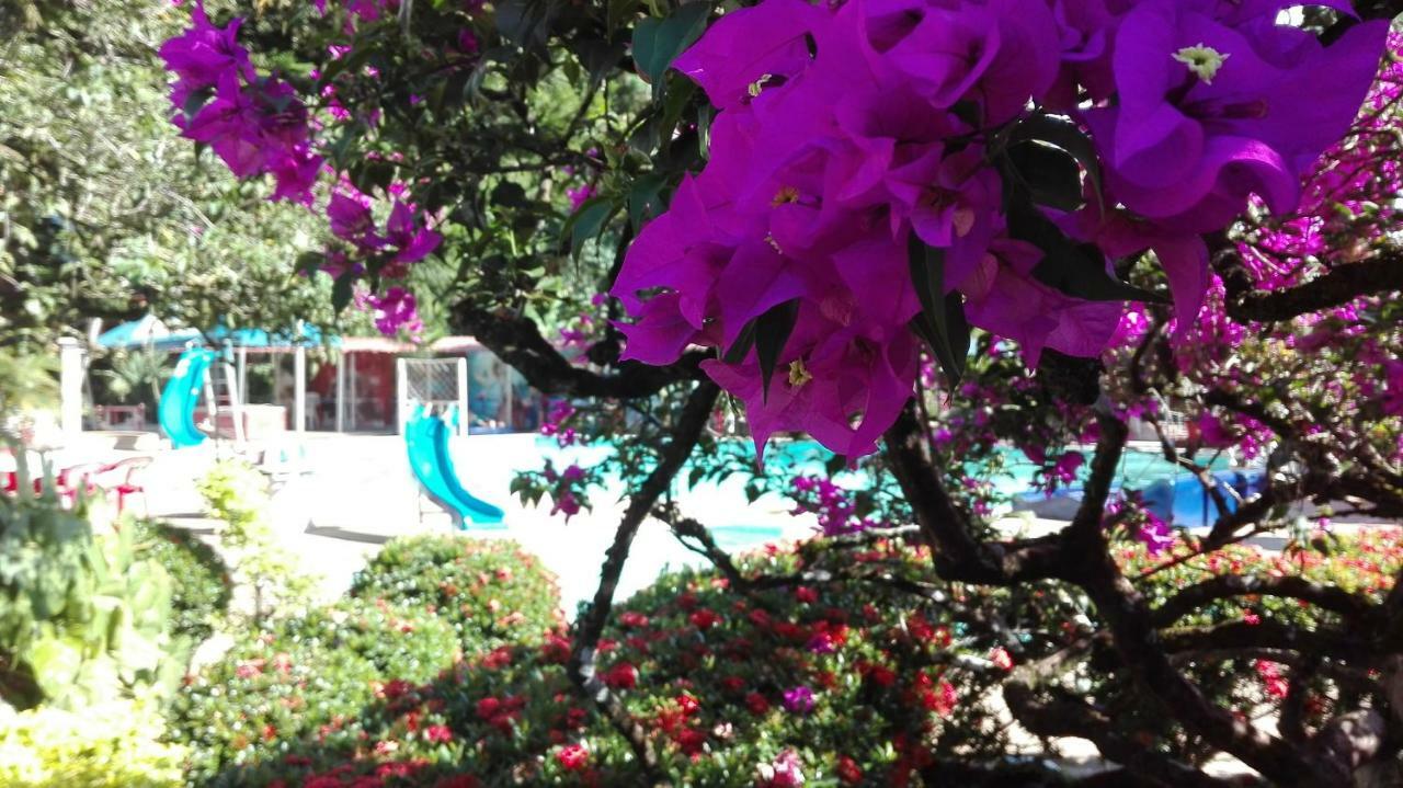 מלון ויז'אוויסנסיו Balneario Chorillano מראה חיצוני תמונה